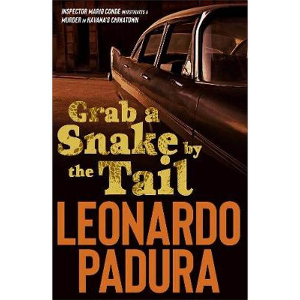 Grab a Snake by the Tail (Paperback) - Leonardo Padura